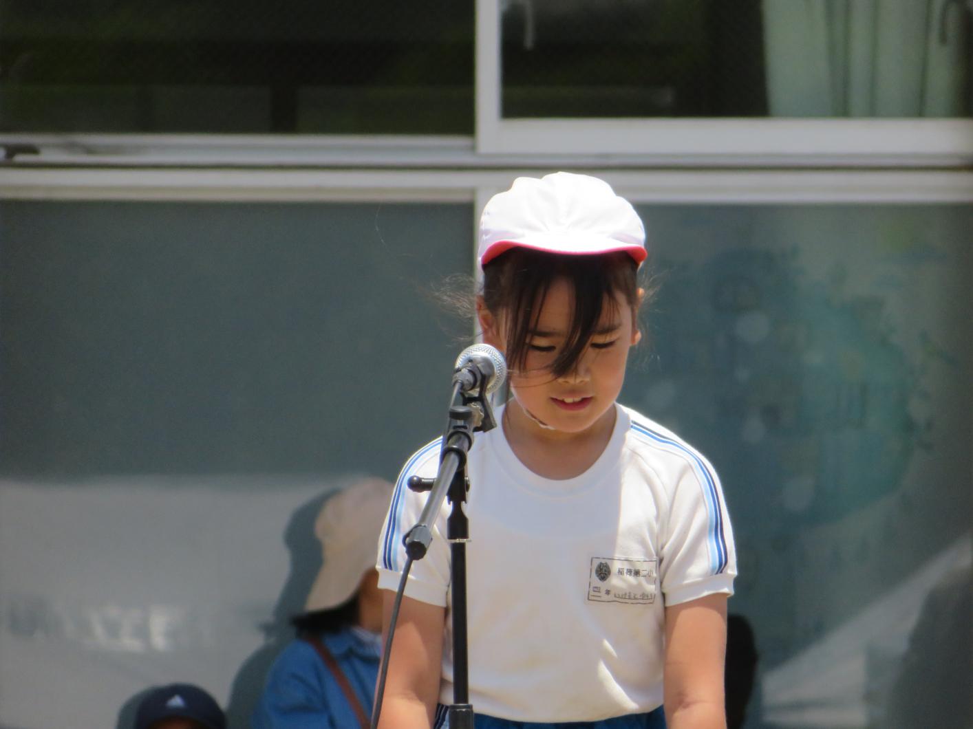IMG_4519 IMG_4519