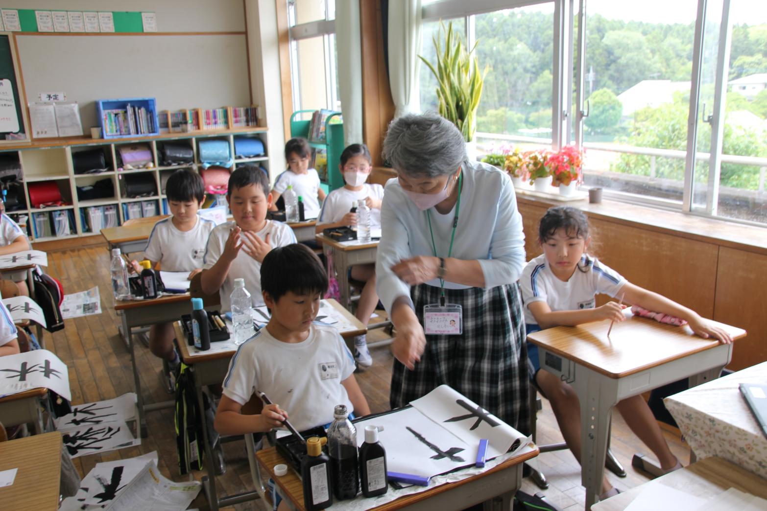 IMG_5646 IMG_5646
