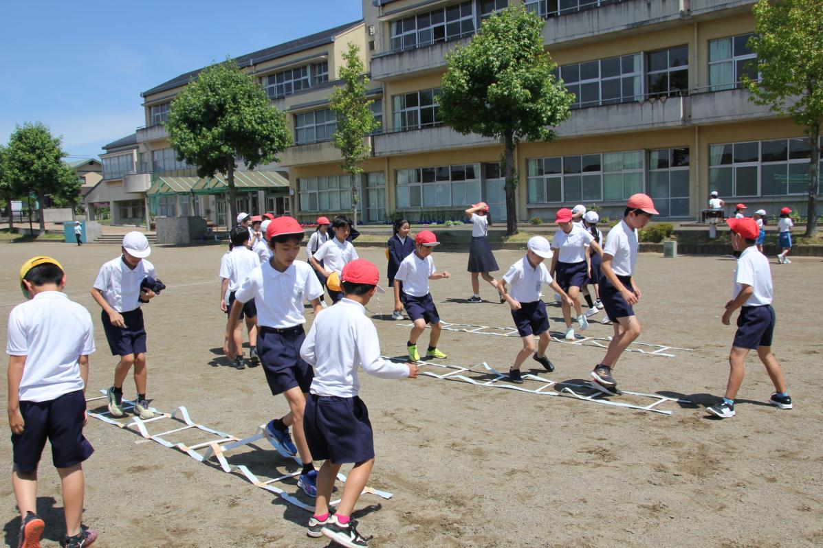 IMG_5668 IMG_5668