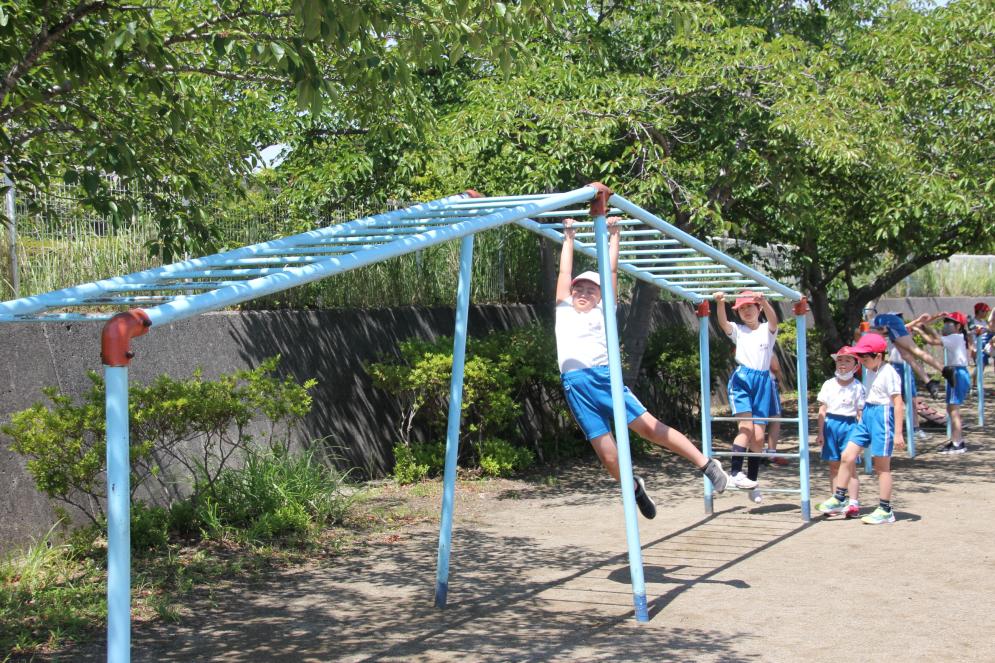 IMG_5675 IMG_5675