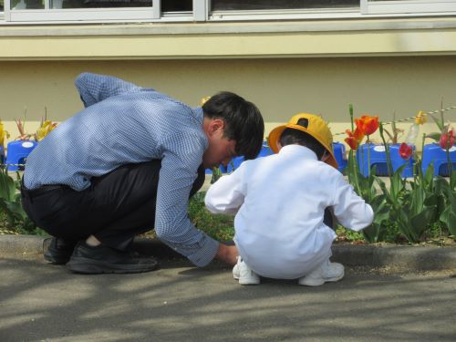 何かいるね