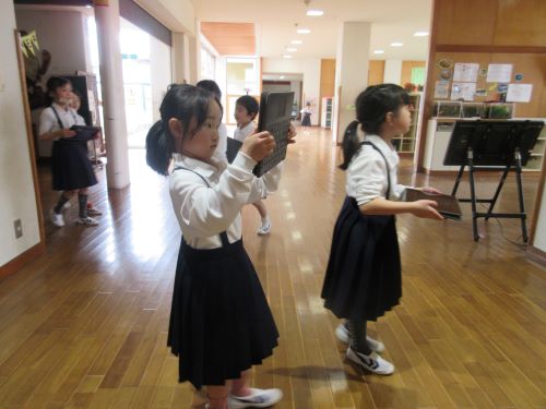 何の写真ですか
