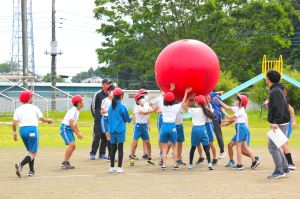 大玉赤1
