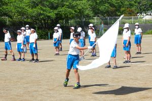 白組の旗