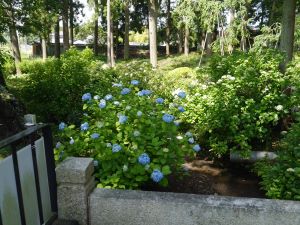 2年生まち探検_5