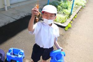 きれいに咲くといいな