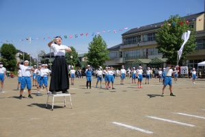 白の応援