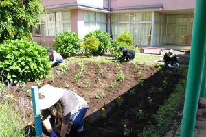 花苗ボランティアさん【午前の部】_1