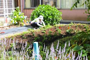 花苗ボランティアさん【午前の部】_2