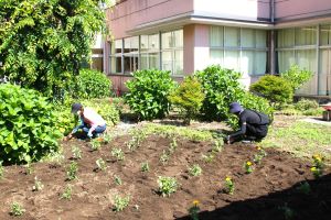 花苗ボランティアさん【午前の部】_3