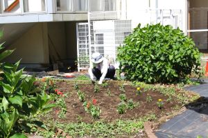 花苗ボランティアさん【午前の部】_5
