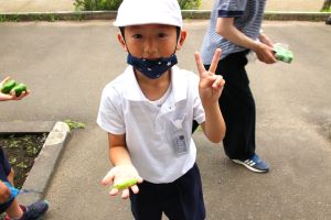 採れたよ