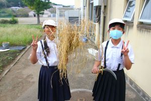 5年稲刈4