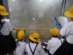 窓越しで中を見る