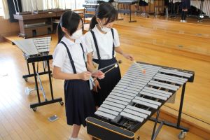 鉄琴に挑戦かな