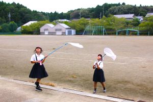 校庭で虫探し_1