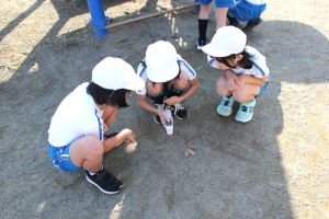地面の温度を測ろう_2