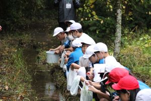 木戸房（きどっぽ）池にて〈5年1組〉_10