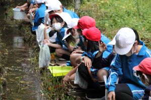 木戸房（きどっぽ）池にて〈5年1組〉_11