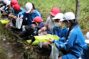 木戸房（きどっぽ）池にて〈5年1組〉_12