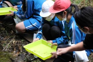 木戸房（きどっぽ）池にて〈5年1組〉_13