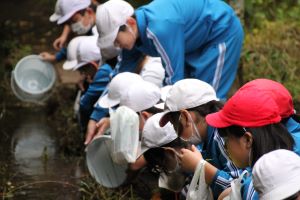 木戸房（きどっぽ）池にて〈5年1組〉_14