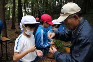 木戸房（きどっぽ）池にて〈5年2組〉_3