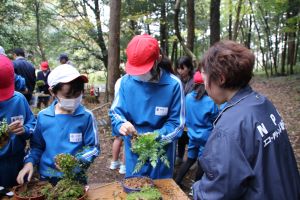 木戸房（きどっぽ）池にて〈5年2組〉_4