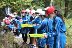 木戸房（きどっぽ）池にて〈5年2組〉_10