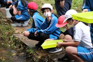 木戸房（きどっぽ）池にて〈5年2組〉_12