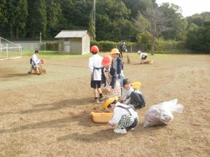 片付いてきたかな