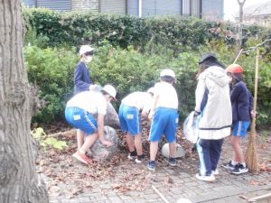 たくさん落ちている