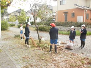 片付いてきたね