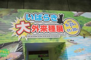 水族館_1