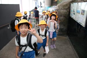 水族館_11