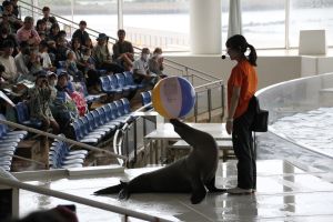 水族館_15