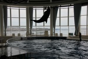 水族館_16