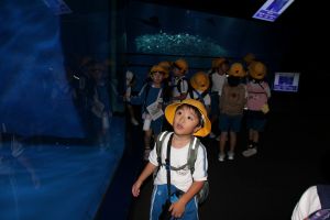 水族館_23