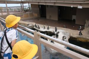 水族館_24