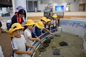 水族館_25