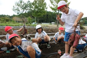 サツマイモ堀1年_2