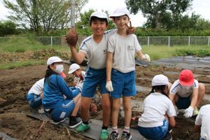 サツマイモ堀4年_2