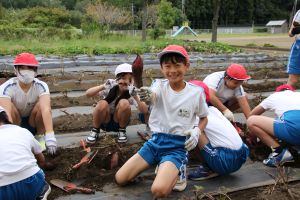 サツマイモ堀4年_6