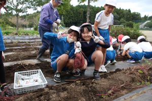 サツマイモ堀4年_7
