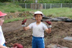 サツマイモ堀4年_9