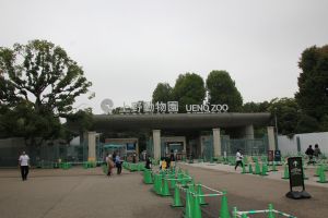 3_上野動物園_1