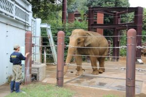 3_上野動物園_13