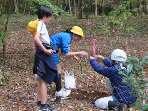 木の苗植え5