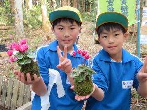 木の苗植え8