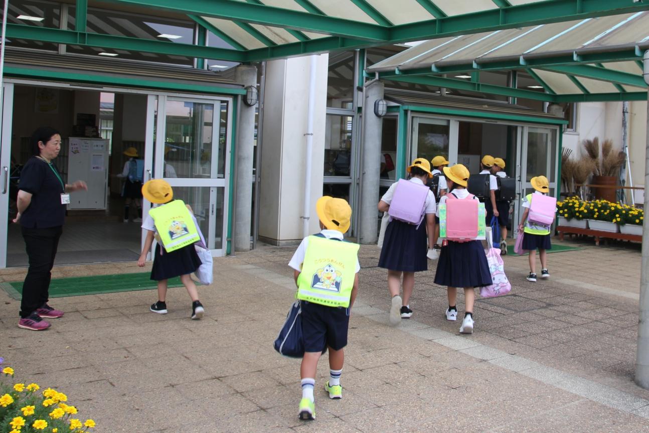 IMG_6118